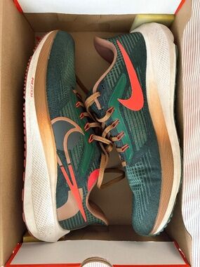 Nike Pegasus 39 A.I.R. Hola Lou Green/Orange/Tan